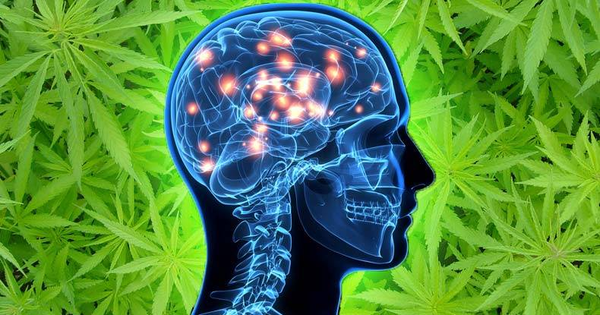 ¿Qué ocurre en el cerebro cuando fumamos marihuana y escuchamos techno?